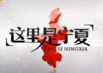 《这里是宁夏》宁夏卫视每日12:33播出的宁夏体验交流节目