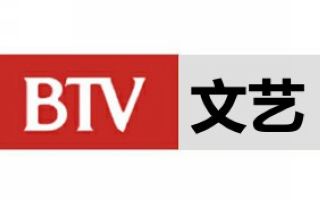 BTV2文艺频道台标