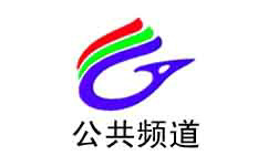 广安公共频道台标