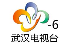 武汉外语频道台标